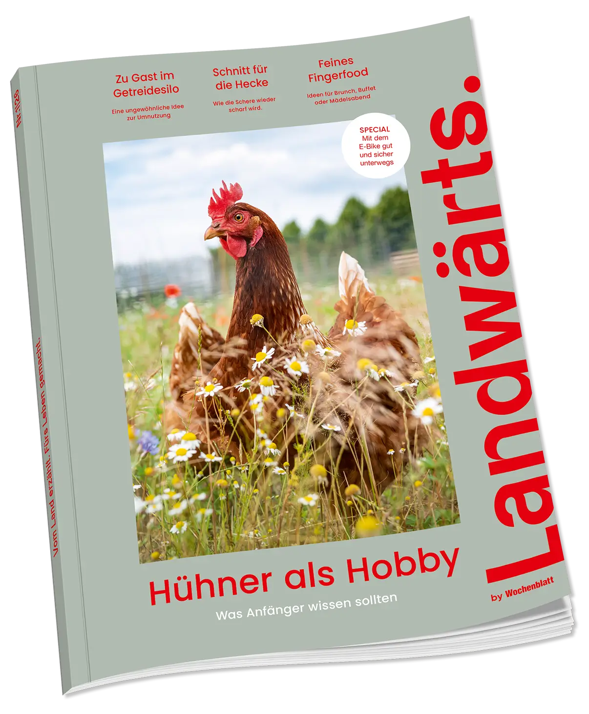 Titelabbildung von Landwärts
